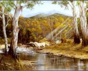 Australian Bush - 乔治·菲利普斯